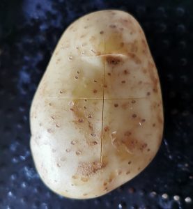 ratatouille baked potato
