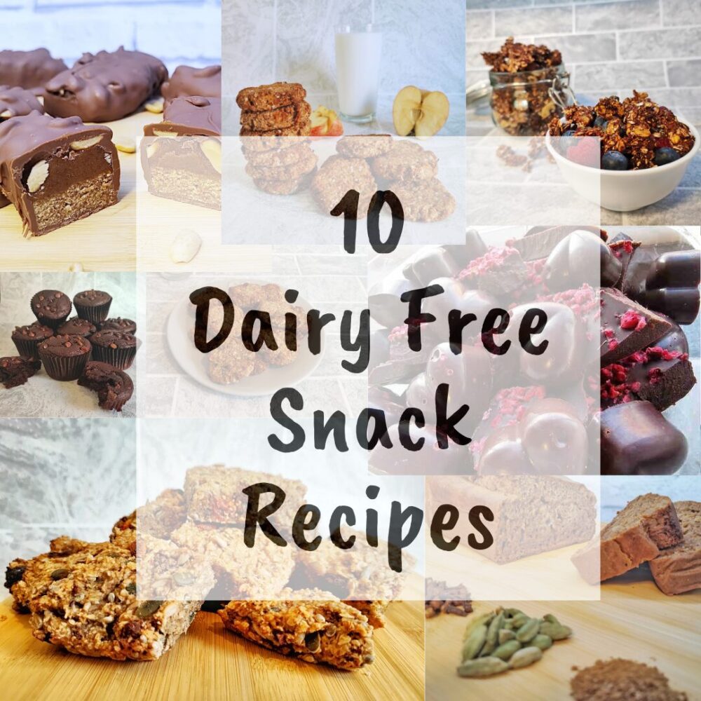 10 Dairy Free Snack Recipes